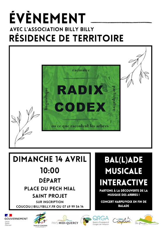 Affiche pour la bal(l)ade musicale interactive
