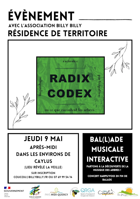 Affiche pour la deuxième balade musicale interactive