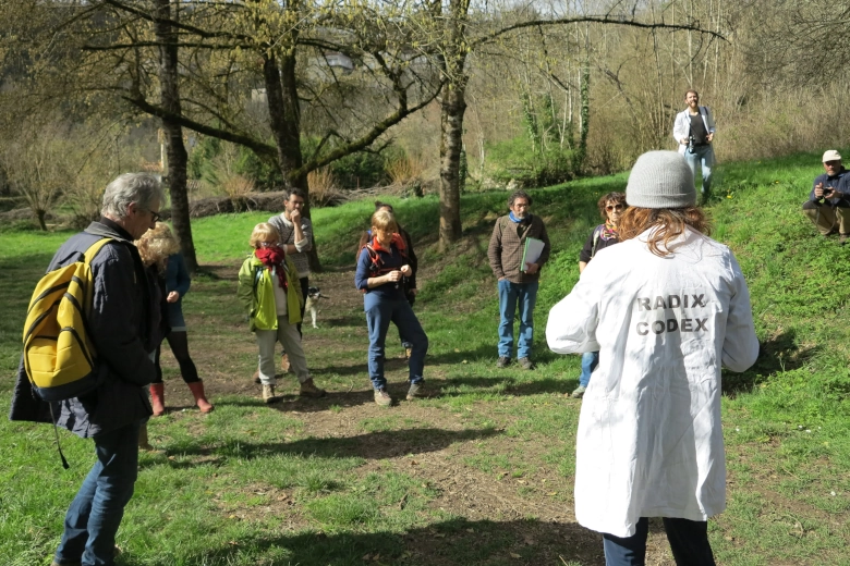 Balade botanique et poétique autour du lac de Labarthe à Caylus