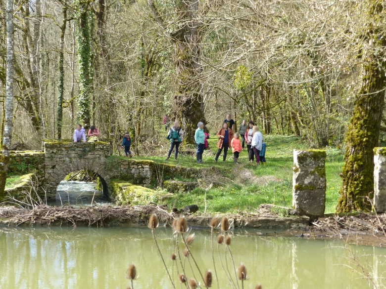 Photo d'une rivière pendant la randonnée poétique
